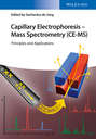 Capillary Electrophoresis - Mass Spectrometry (CE-MS). Principles and Applications