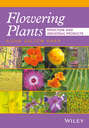 Flowering Plants. Structure and Industrial Products