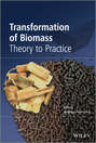 Transformation of Biomass. Theory to Practice