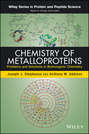 Chemistry of Metalloproteins. Problems and Solutions in Bioinorganic Chemistry