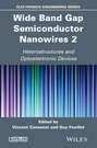 Wide Band Gap Semiconductor Nanowires 2. Heterostructures and Optoelectronic Devices