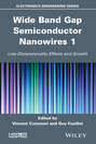 Wide Band Gap Semiconductor Nanowires for Optical Devices. Low-Dimensionality Related Effects and Growth