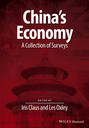 China's Economy. A Collection of Surveys