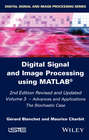 Digital Signal and Image Processing using MATLAB, Volume 3. Advances and Applications, The Stochastic Case