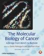 The Molecular Biology of Cancer. A Bridge from Bench to Bedside