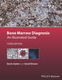 Bone Marrow Diagnosis. An Illustrated Guide