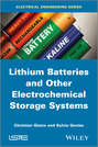 Lithium Batteries and other Electrochemical Storage Systems