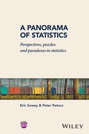 A Panorama of Statistics. Perspectives, Puzzles and Paradoxes in Statistics