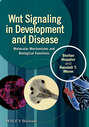 Wnt Signaling in Development and Disease. Molecular Mechanisms and Biological Functions