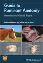 Guide to Ruminant Anatomy. Dissection and Clinical Aspects