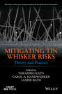 Mitigating Tin Whisker Risks. Theory and Practice
