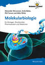 Molekularbiologie. für Biologen, Biochemiker, Pharmazeuten und Mediziner