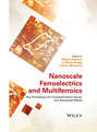 Nanoscale Ferroelectrics and Multiferroics. Key Processing and Characterization Issues, and Nanoscale Effects, 2 Volumes