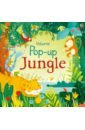 Pop Up Jungle (board book)
