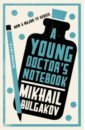 A Young Doctor's Notebook