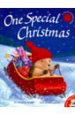 One Special Christmas (Little Hedgehog) PB illustr