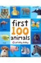 First 100 Animals (soft to touch board book)