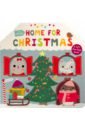 Little Friends: Home for Christmas (board bk)