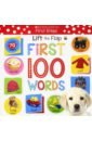 Lift the Flap First 100 Words (board book)