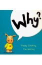 Why? (Archie)  Board book