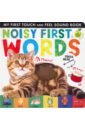 Noisy First Words My First Touch & Feel Sound Book