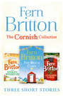 Fern Britton Short Story Collection: The Stolen Weekend, A Cornish Carol, The Beach Cabin