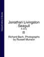 Jonathan Livingston Seagull: A story