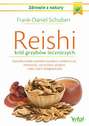 Reishi – król grzybów leczniczych. Naturalny środek przeciwko wysokiemu ciśnieniu krwi, nerwowości, wyczerpaniu, alergiom i wielu innym dolegliwościom