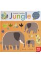 Animal Families: Jungle (lift-the-flap board book)