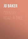 Country Road, A Tree