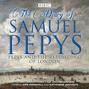 Samuel Pepys - After the Fire