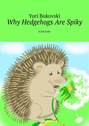 Why Hedgehogs Are Spiky. A fairytale