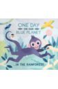 One Day On Our Blue Planet: In The Rainforest PB
