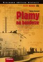 Plamy na banderze