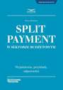 Split Payment w sektorze budżetowym