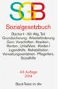 Sozialgesetzbuch (роман на нем.яз.)