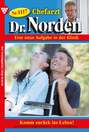 Chefarzt Dr. Norden 1117 – Arztroman