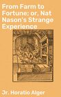 From Farm to Fortune; or, Nat Nason's Strange Experience