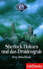 Sherlock Holmes 1: Sherlock Holmes und das Druidengrab