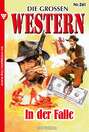 Die großen Western 261