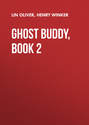 Ghost Buddy, Book 2