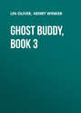 Ghost Buddy, Book 3