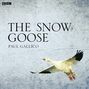 Snow Goose