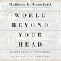World Beyond Your Head