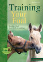 Training Your Foal