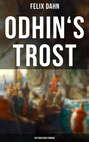 Odhin's Trost: Historischer Roman