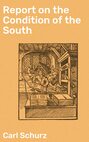 Report on the Condition of the South