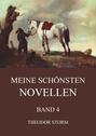 Meine schönsten Novellen, Band 4