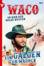 Waco 6 – Western