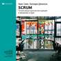 Крис Симс, Хиллари Джонсон: Scrum: потрясающе краткая инструкция и введение в Agile. Саммари